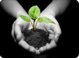 减少39％至64％的温室气体排放，为保护地球出一份力